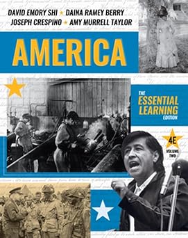 america the essential 1st edition david e shi ,daina ramey berry ,joe crespino ,amy murrell taylor