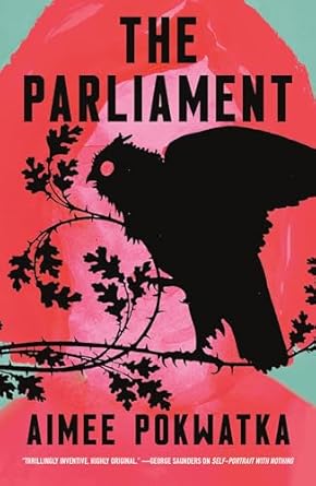 the parliament 1st edition aimee pokwatka 1250820979, 978-1250820976