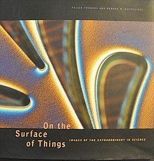 on the surface of things images of the extraordinary in science 1st edition felice frankel ,g m whitesides