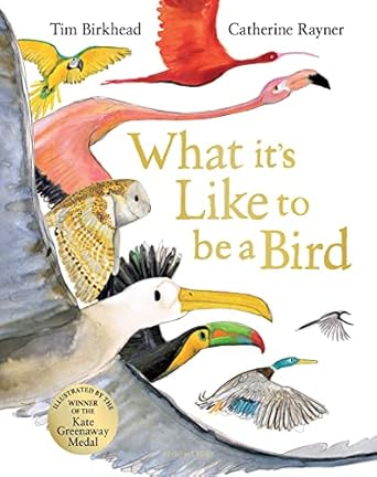 what its like to be a bird 1st edition tim birkhead ,catherine rayner 1526604124, 978-1526604125