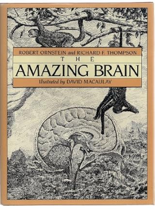 the amazing brain 1st edition robert e ornstein ,richard f thompson ,david macauley 0395354862, 978-0395354865
