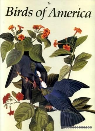 birds of america 1st edition colin john james audubon 1853264911, 978-1853264917