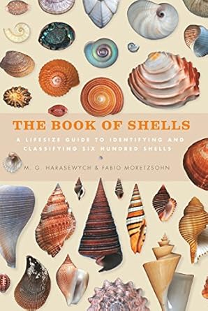 the book of shells 1st edition jerry harasewych ,fabio moretzsohn 1782403566, 978-1782403562