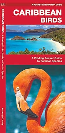 caribbean birds a folding pocket guide to familiar species 1st edition james kavanagh ,waterford press