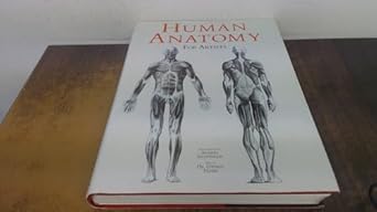 Human Anatomy For Artists