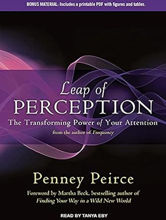 leap of perception the transforming power of your attention 1st edition penney peirce ,tanya eby sirois