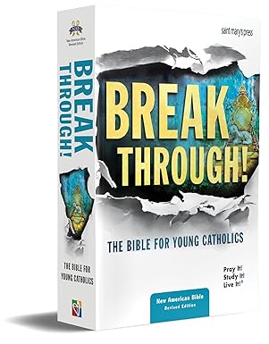 breakthrough the bible for young catholics nabre translation 1st edition saint mary\\\\\\\'s press