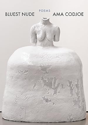 bluest nude poems 1st edition ama codjoe 157131542x, 978-1571315427