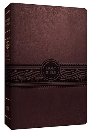 mev bible personal size large print cherry brown modern english version 1st edition passio 1629980676,