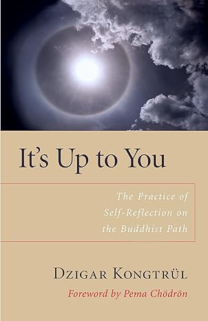its up to you the practice of self reflection on the buddhist path 1st edition dzigar kongtrul ,matthew