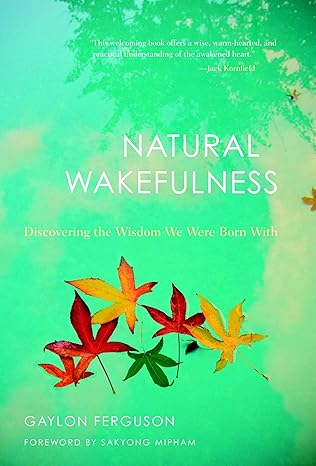 natural wakefulness discovering the wisdom we were born with 1st edition gaylon ferguson 1590307690,