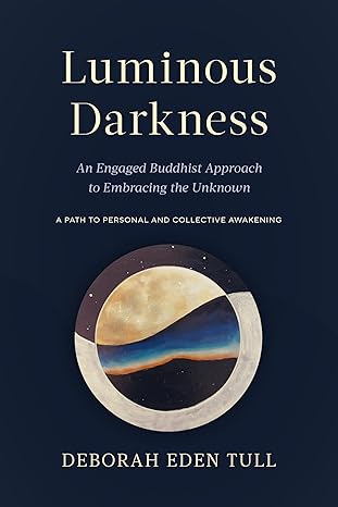 luminous darkness an engaged buddhist approach to embracing the unknown 1st edition deborah eden tull