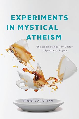 experiments in mystical atheism godless epiphanies from daoism to spinoza and beyond 1st edition brook
