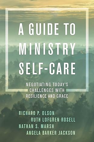 a guide to ministry self care negotiating todays challenges with resilience and grace 1st edition richard p