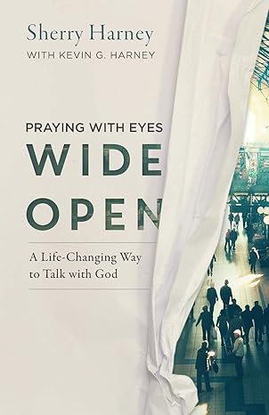 praying with eyes wide open 1st edition sherry harney ,kevin g harney 0801014700, 978-0801014703