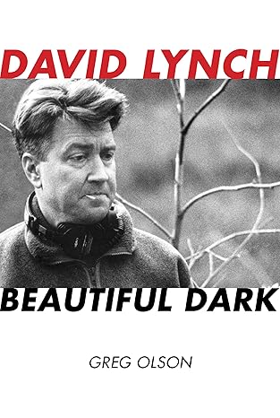 david lynch beautiful dark 1st edition greg olson 0810881845, 978-0810881846