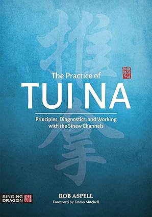 the practice of tui na 1st edition rob aspell 1848194129, 978-1848194120