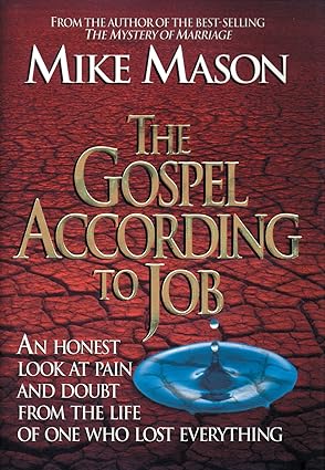the gospel according to job an honest look at pain and doubt from the life of one who lost everything 1st