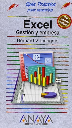 excel gestia n y empresa 1st edition bernard v liengme 8441515530, 978-8441515536