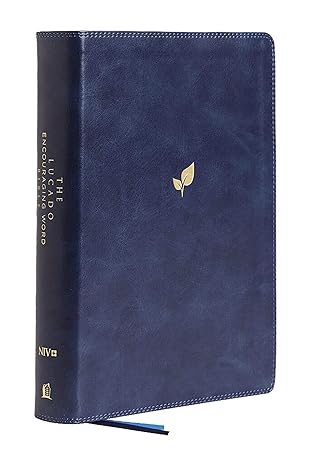 niv lucado encouraging word bible leathersoft blue comfort print holy bible new international version 1st