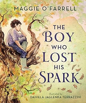 the boy who lost his spark 1st edition maggie o\\\\\\\'farrell ,daniela jaglenka terrazzini 1536233935,