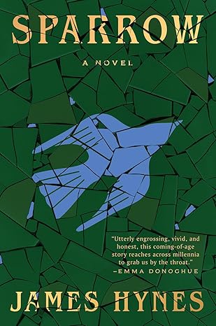 sparrow a novel 1st edition james hynes 1419771248, 978-1419771248
