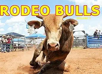 rodeo bulls volume 1 1st edition christopher terry 1980481946, 978-1980481942