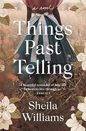 things past telling a novel 1st edition sheila williams 0063097087, 978-0063097087