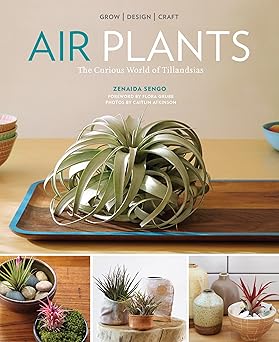air plants the curious world of tillandsias 1st edition zenaida sengo ,caitlin atkinson 1604694890,