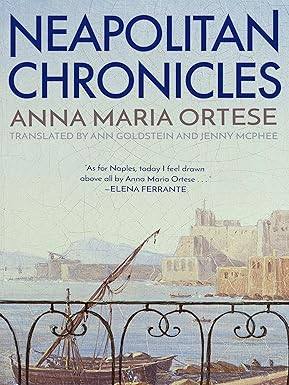neapolitan chronicles 1st edition anna maria ortese ,ann goldstein ,jenny mcphee 1939931517, 978-1939931511