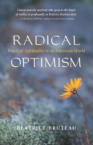 radical optimism practical spirituality in an uncertain world 1st edition beatrice bruteau 1591810019,