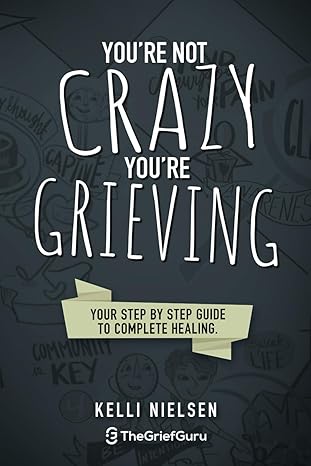 youre not crazy youre grieving your step by step guide to accelerated and complete healing 1st edition kelli