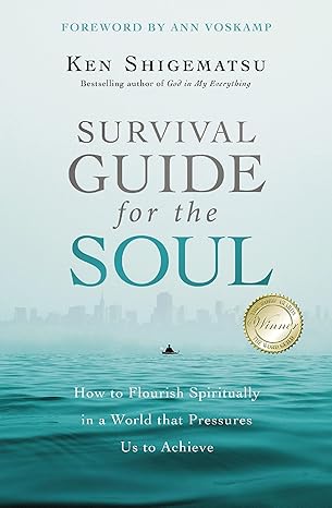 survival guide for the soul how to flourish spiritually in a world that pressures us to achieve 1st edition