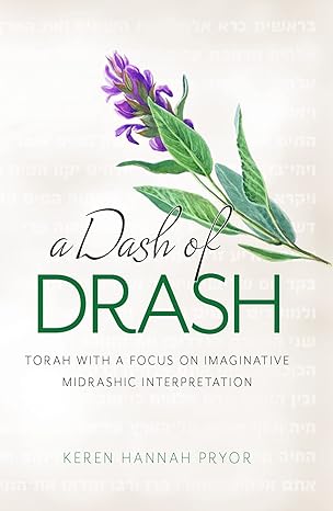 a dash of drash torah with a focus on imaginative midrashic interpretation 1st edition keren hannah pryor