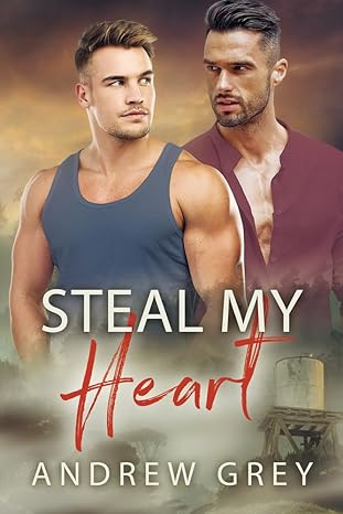 steal my heart 1st edition andrew grey 1641087110, 978-1641087117