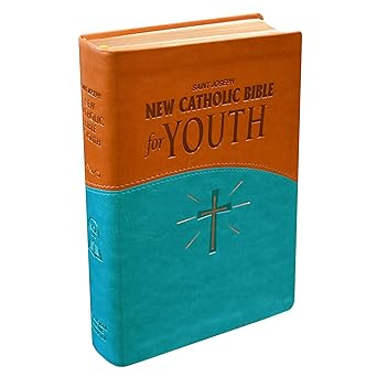 ncb new catholic bible medium size youth bible   blue and brown print dura lux imitation leather catholic  