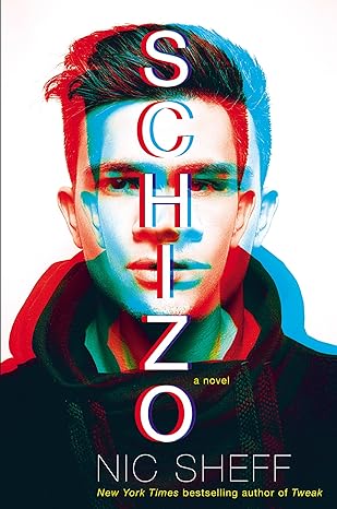 schizo a novel 1st edition nic sheff 0399164375, 978-0399164378
