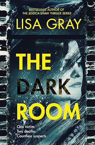 the dark room 1st edition lisa gray 154203535x, 978-1542035354