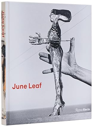 june leaf shooting from the heart 1st edition sam adams ,allison kemmerer ,gordon wilkins 084784353x,