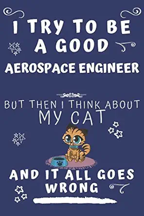 i try to be a good aerospace engineer but then i think about my cat and it all goes wrong perfect gag gift