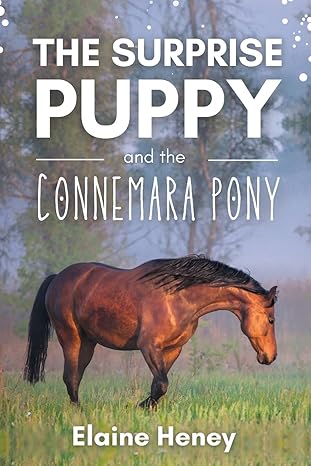 the surprise puppy and the connemara pony the coral cove horses series 1st edition elaine heney 1915542243,