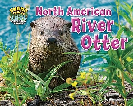 north american river otter 1st edition ellen lawrence 1642808067, 978-1642808063