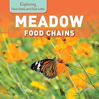 meadow food chains 1st edition katie kawa 1499401574, 978-1499401578