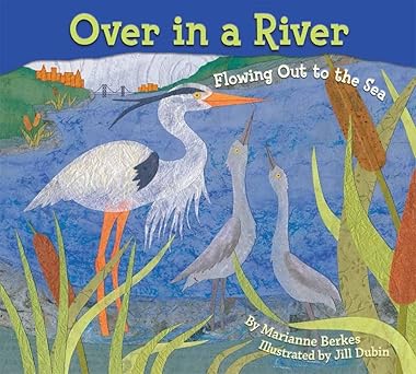 over in a river a musical stem adventure through river wildlife 1st edition marianne berkes ,jill dubin
