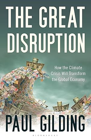 great disruption 1st edition paul gilding 1408812096, 978-1408812099