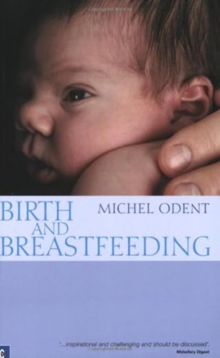 birth and breastfeeding rediscovering the needs of women during pregnancy and childbirth 1st edition michel