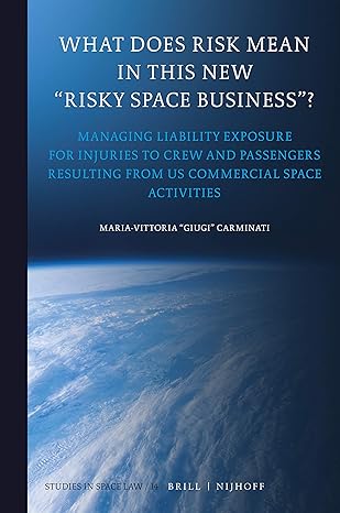 what does risk mean in this new risky space business 1st edition maria vittoria giugi carminati 9004399704,