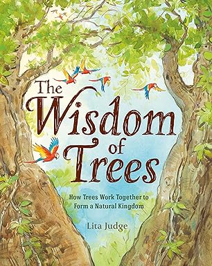 the wisdom of trees how trees work together to form a natural kingdom 1st edition lita judge 1250237076,