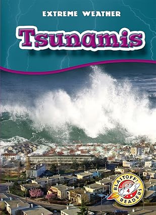 tsunamis 1st edition anne wendorff 1626174687, 978-1626174689