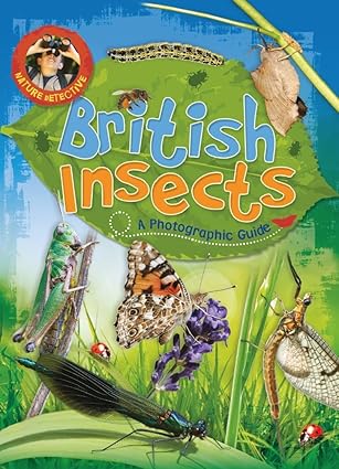 nature detective british insects 1st edition victoria munson 0750293217, 978-0750293211